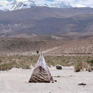 AIR La Wayaka Current Chili