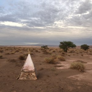 AIR La Wayaka Current Chili