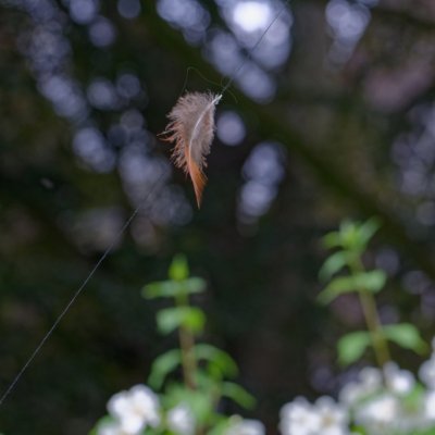 De vier elementen in Aalsmeer; LUCHT4