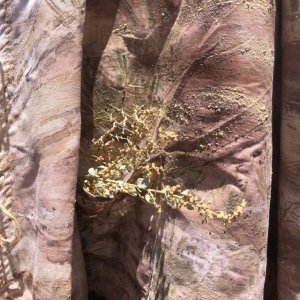 AIR La Wayaka Current Chili