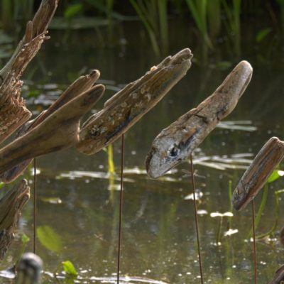 Land Art Diessen 2017 foto: Vic Peeters