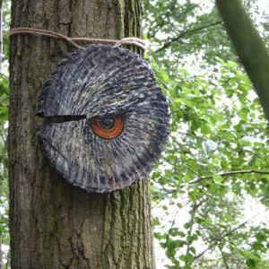 Ogenblik in het bos