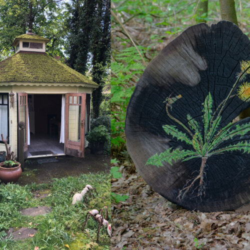 Art and herbs
