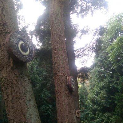 'Uil' en 'Wouw' in von Gimborn Arboretum